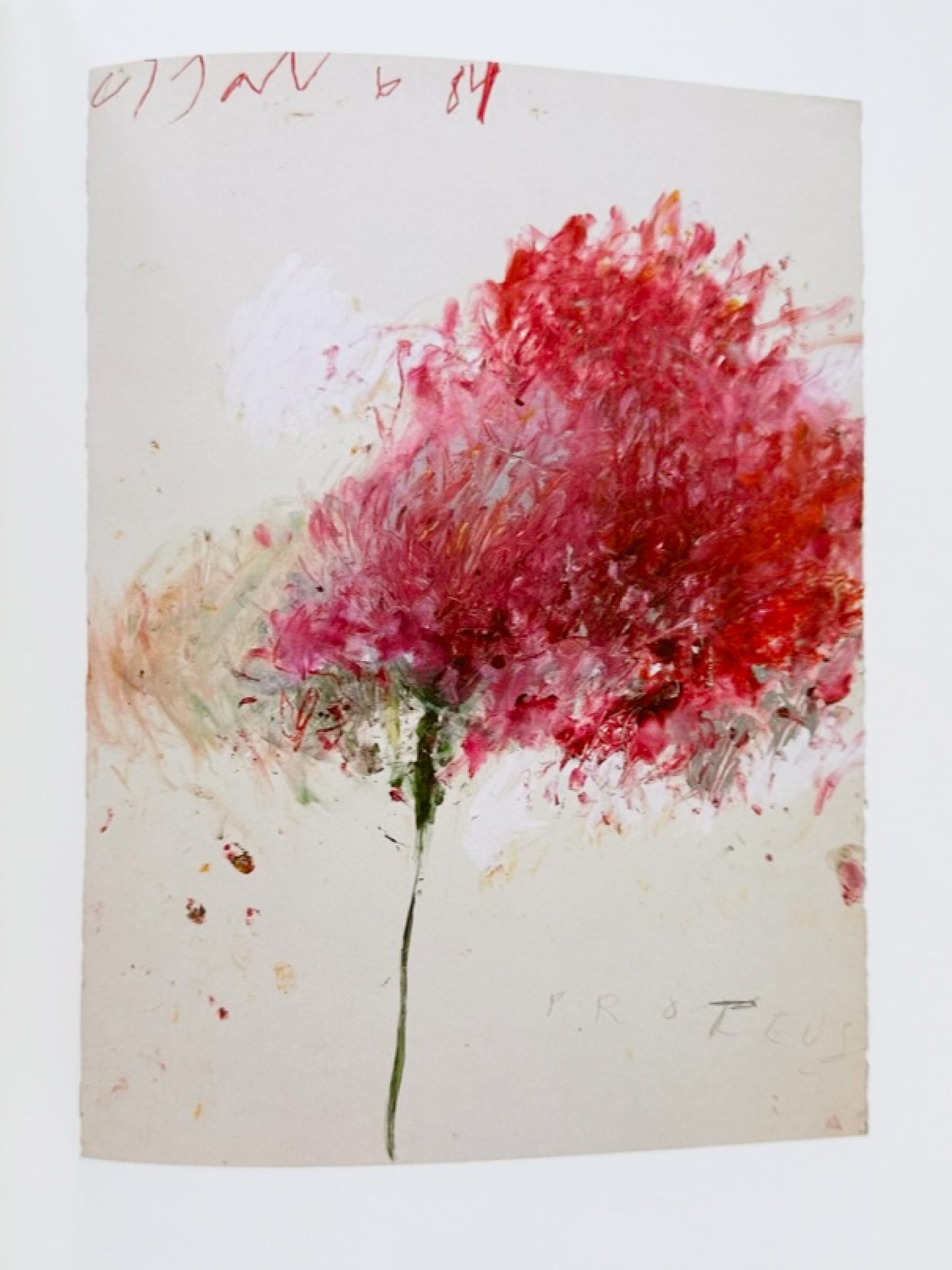 50 Years of Works on paper