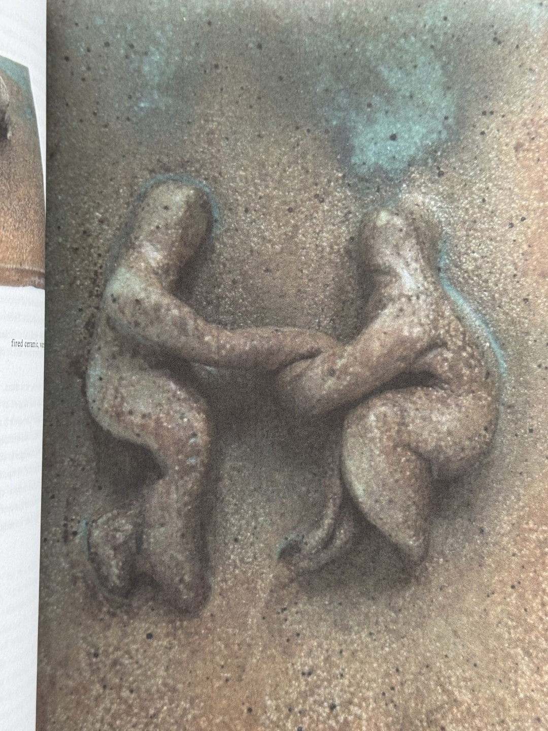 The Dance of Life
